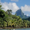 Discover the Beauty of South Pacific Cruises