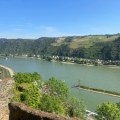 All You Need to Know About Rhine River Cruise Reviews